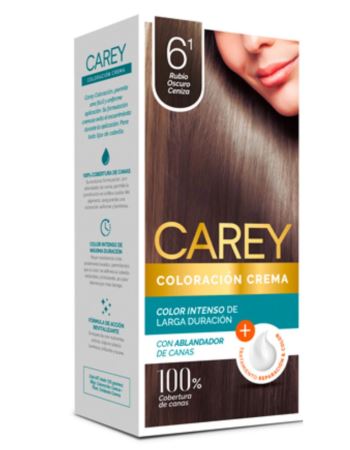 Carey Tinta Rubio Oscuro Ceniza Nº 6.1