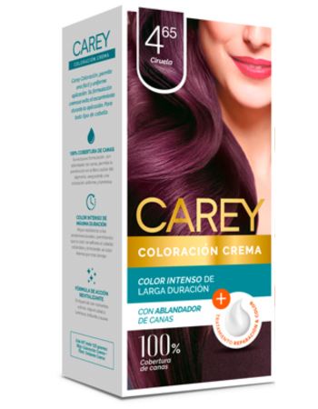 Carey Tinta Ciruela Nº4.65