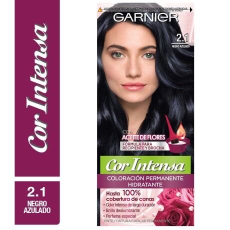 Nutrisse Cor Intensa Garnier 2.1